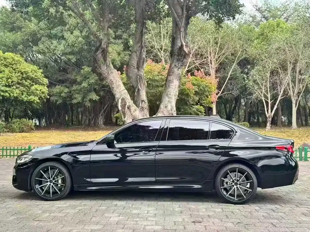 BMW 5 Series — миниатюра 5