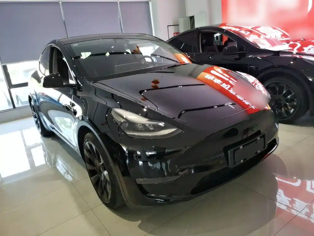 Tesla Model Y — миниатюра 4