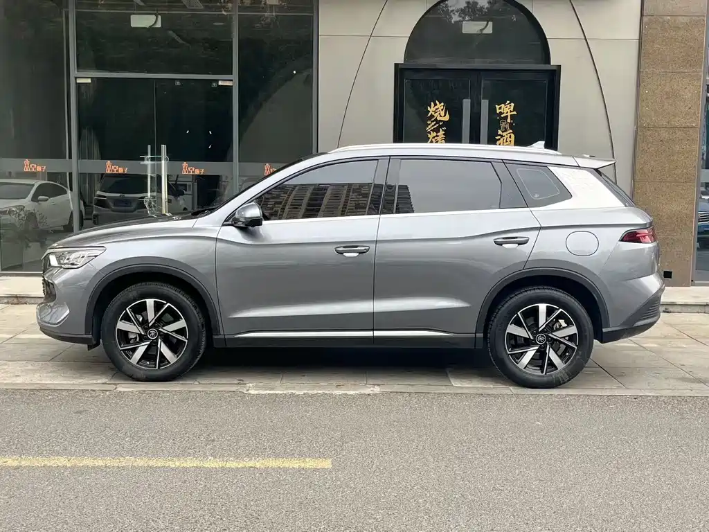 BYD SONGJIANG NEW ENERGY