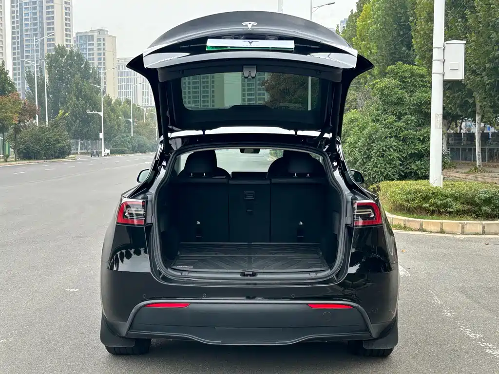 Tesla Model Y — миниатюра 12