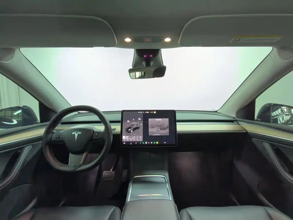 Tesla Model Y — миниатюра 3