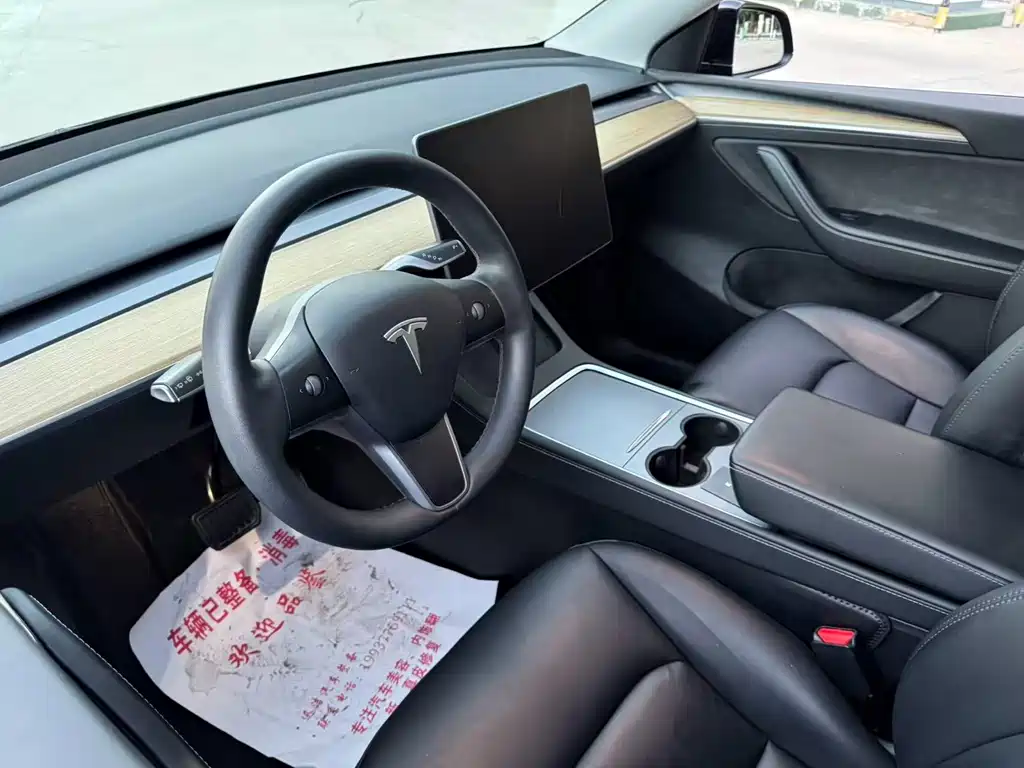 Tesla Model Y — миниатюра 5