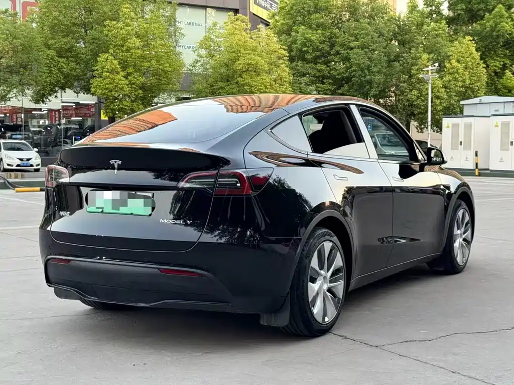 Tesla Model Y — миниатюра 7