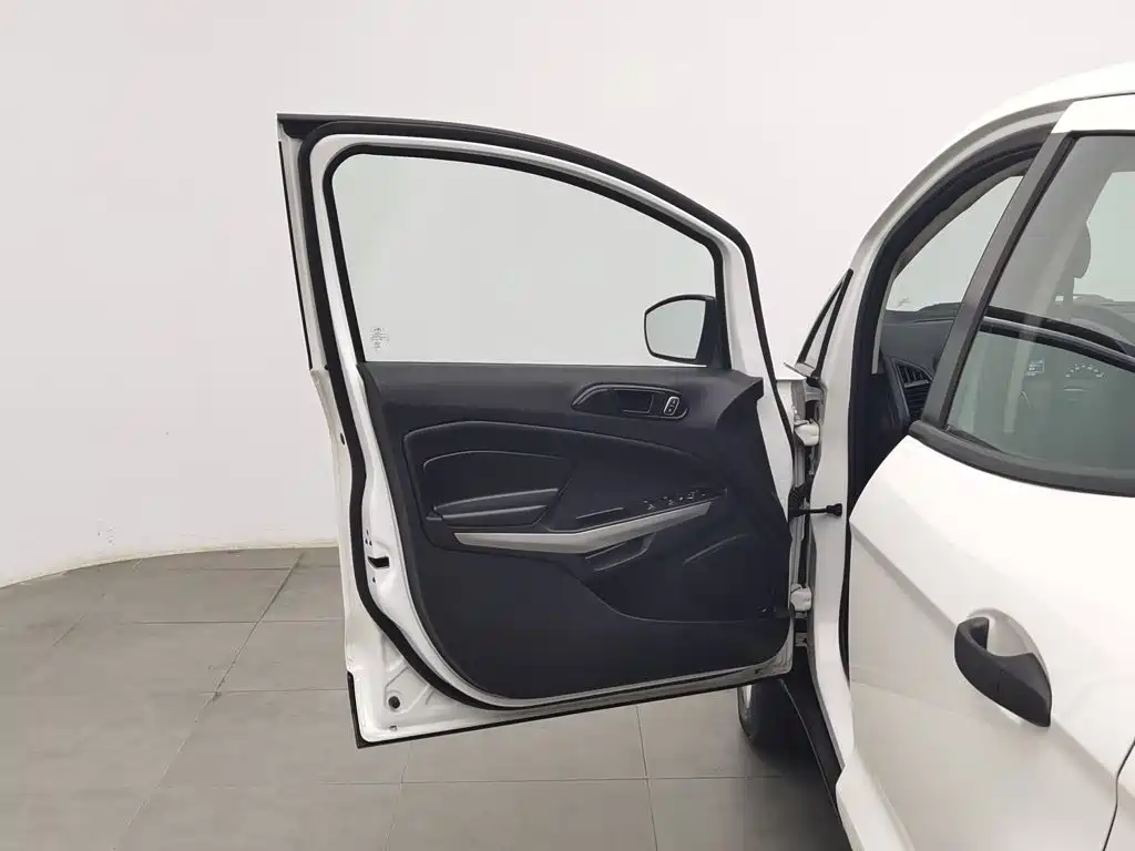 Ford Ecosport — миниатюра 8