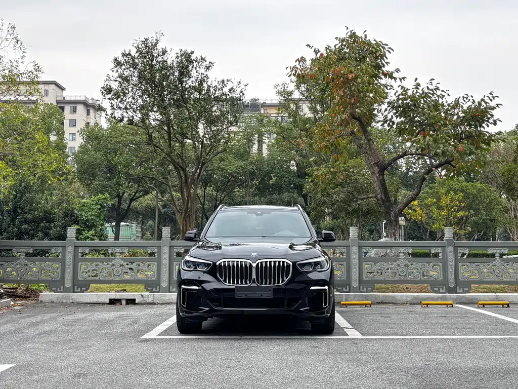 BMW X5 — миниатюра 2