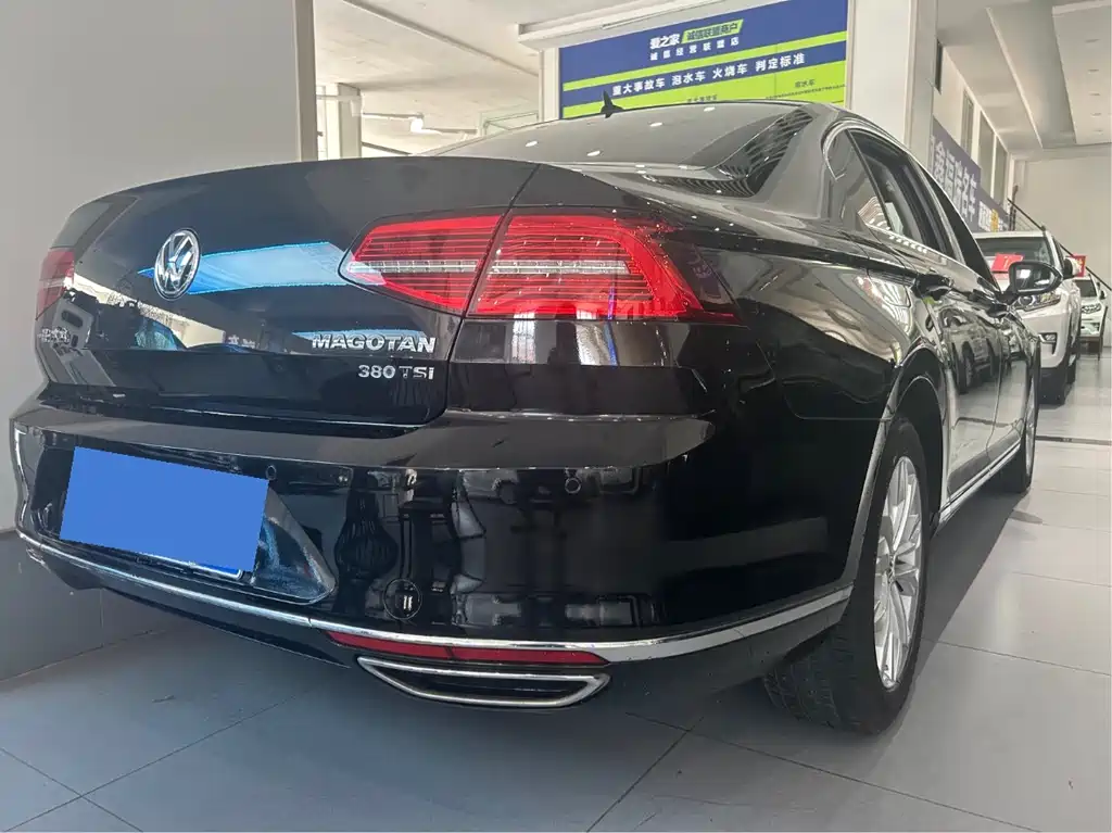 Volkswagen Magotan 2019 330TSI DSG Luxury VI