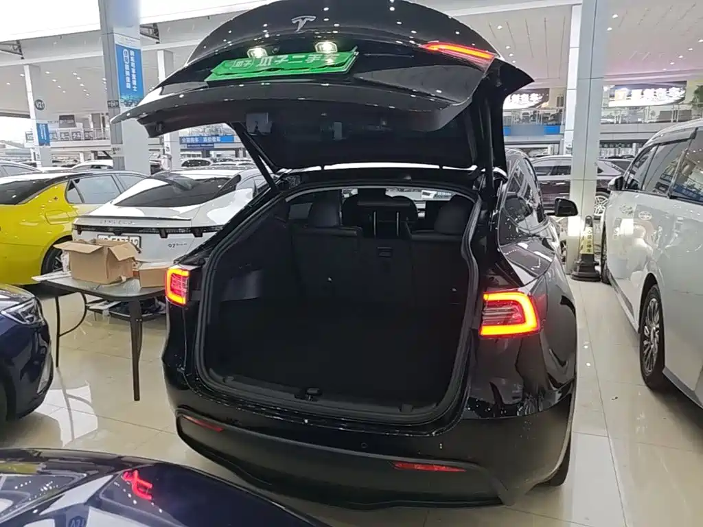 Tesla Model Y — миниатюра 19