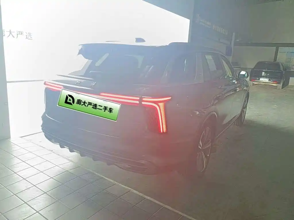 Hongqi Hongqi E-HS9 — миниатюра 4