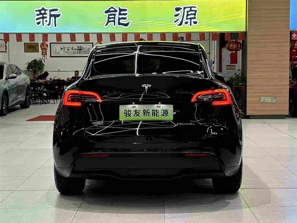 Tesla Model Y — миниатюра 13