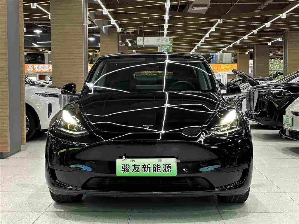 Tesla Model Y — миниатюра 11