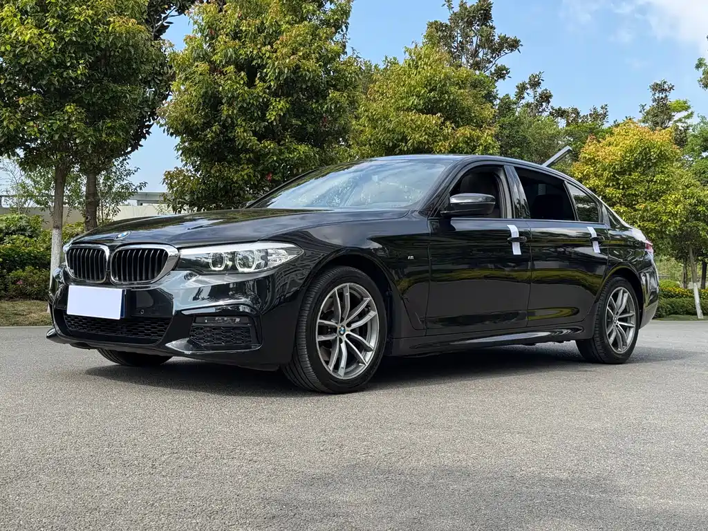BMW 5 Series 2019
