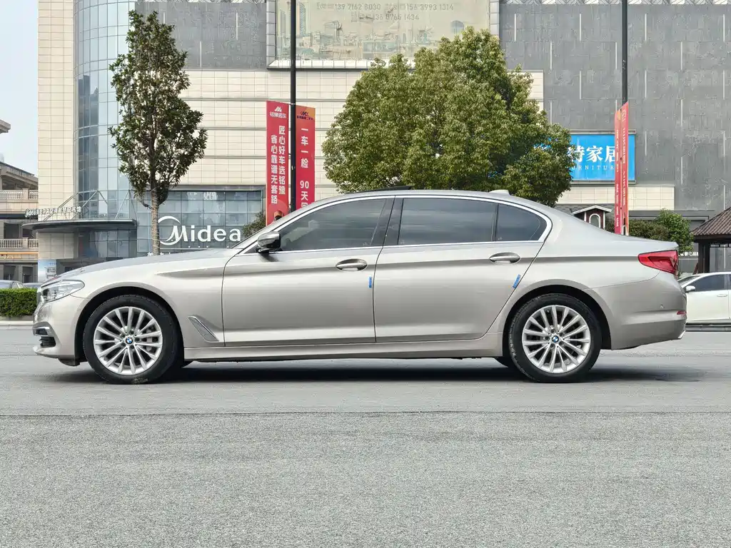 BMW 5 Series 5 2019 530Li Premium Luxury