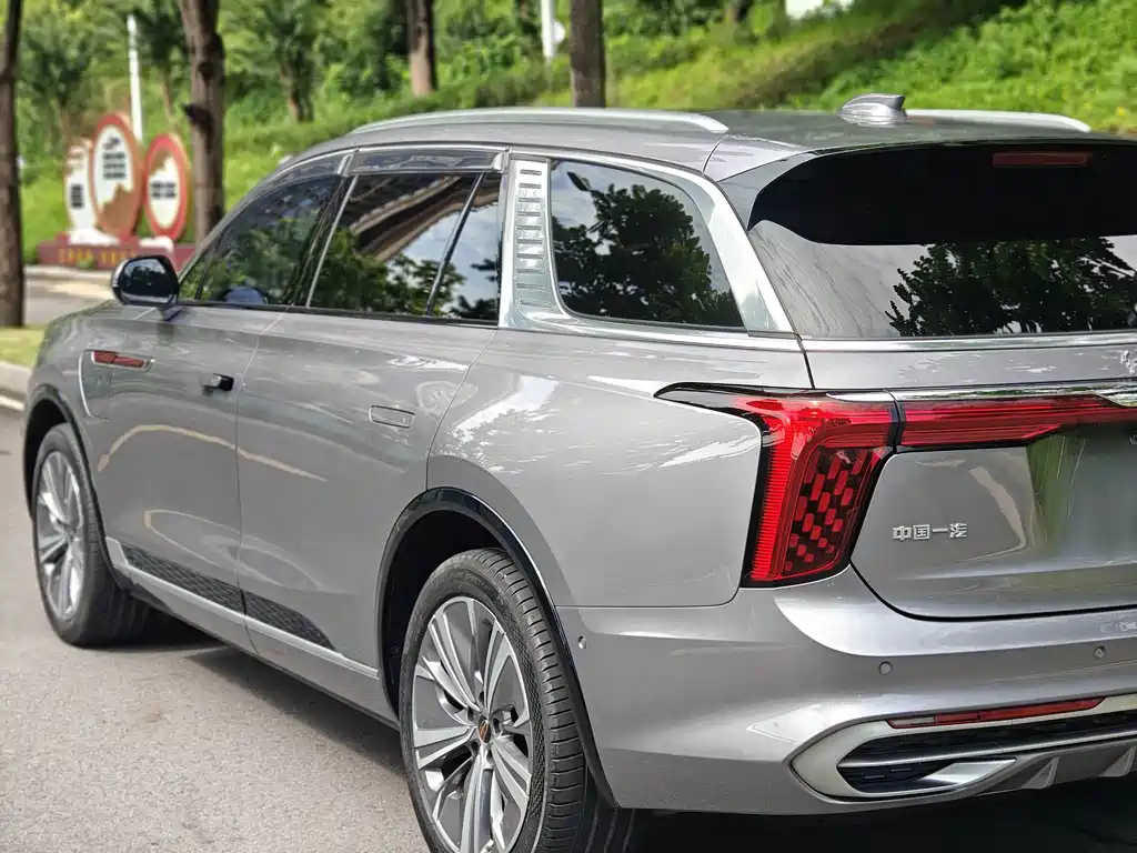 Hongqi E-HS9 2021 460km мест