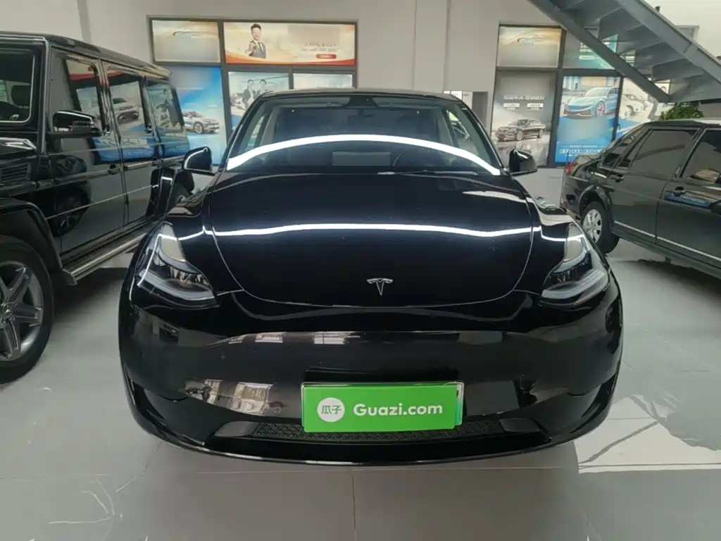 Tesla Model Y — миниатюра 3