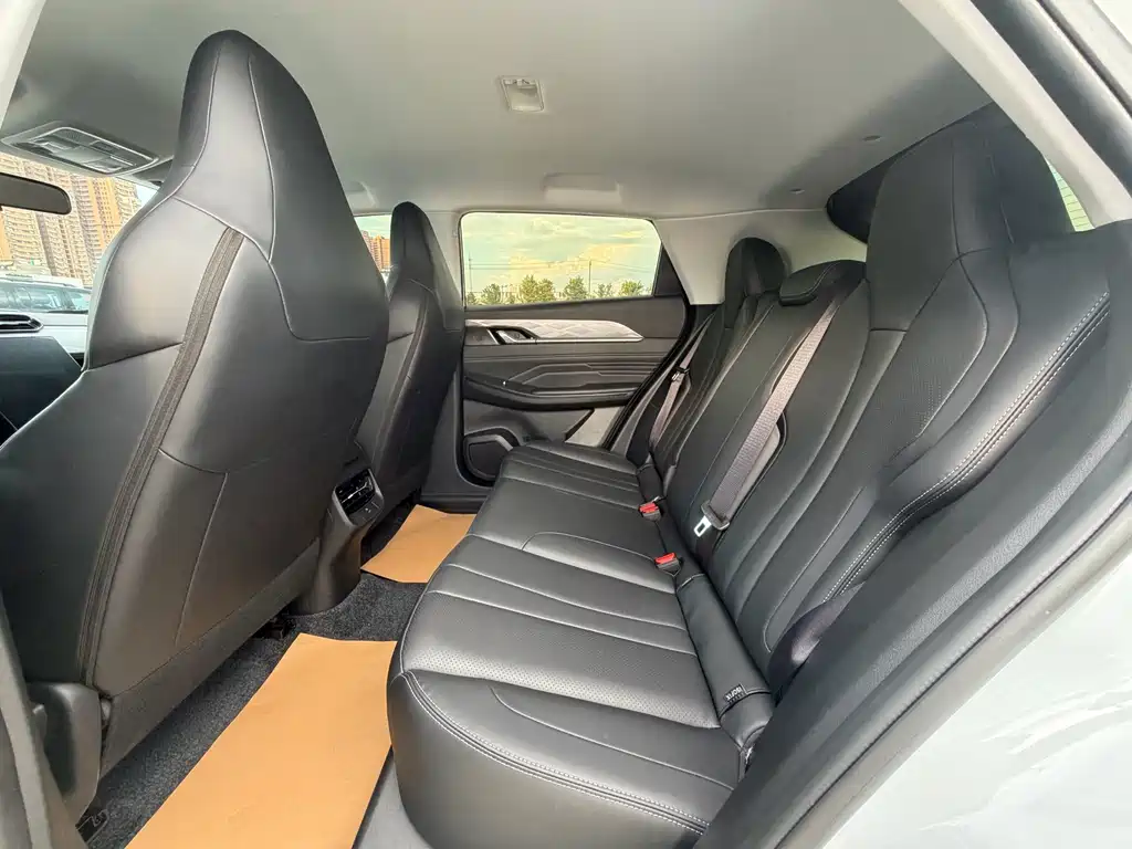 Dongfeng Sky EV01 2024 530km PRO