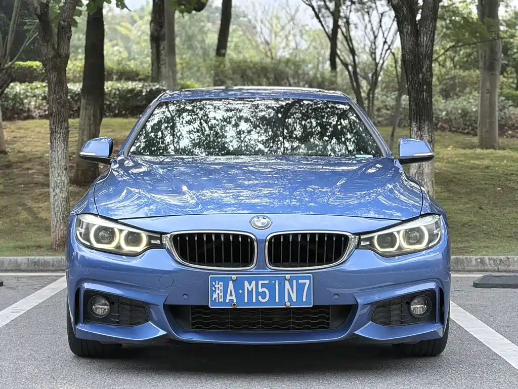 BMW 4 Series — миниатюра 2