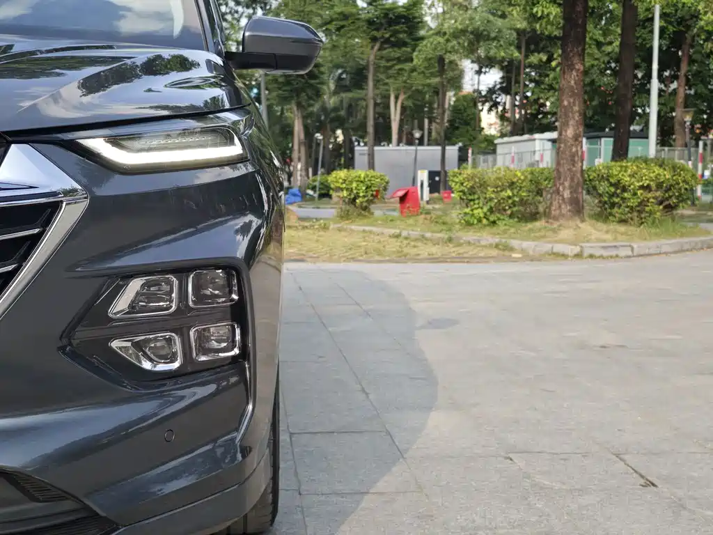 Wuling Victory — миниатюра 8