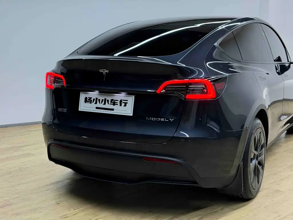 Tesla Model Y — миниатюра 22