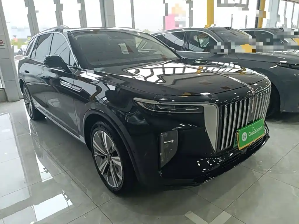 Hongqi Hongqi E-HS9 — миниатюра 4