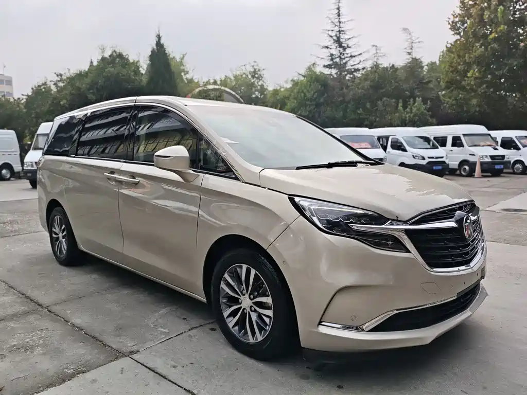 Buick GL8 — миниатюра 3