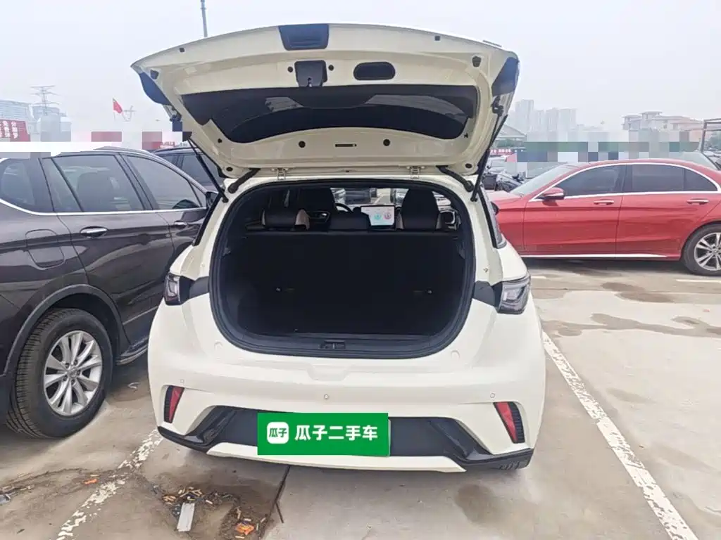 BYD Dolphin — миниатюра 19
