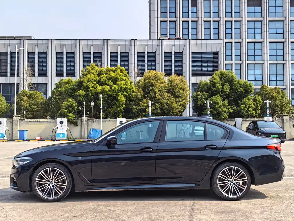 BMW 5 Series 5 2019 530Li Premium M Sport