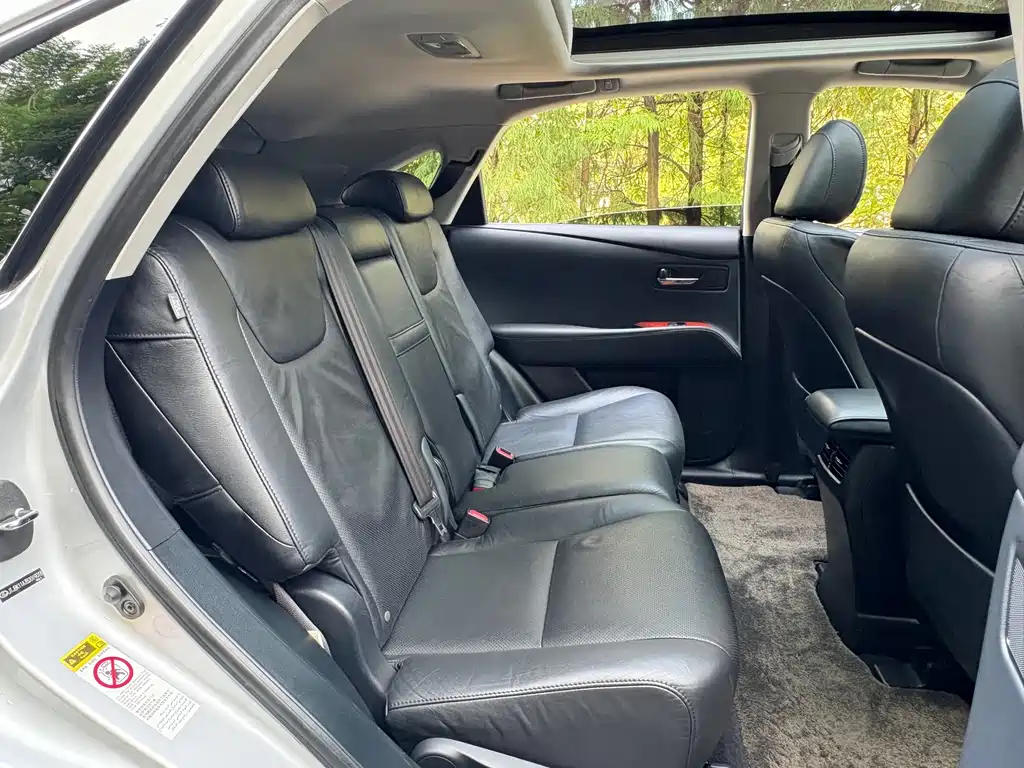 Lexus RX Classic — миниатюра 12