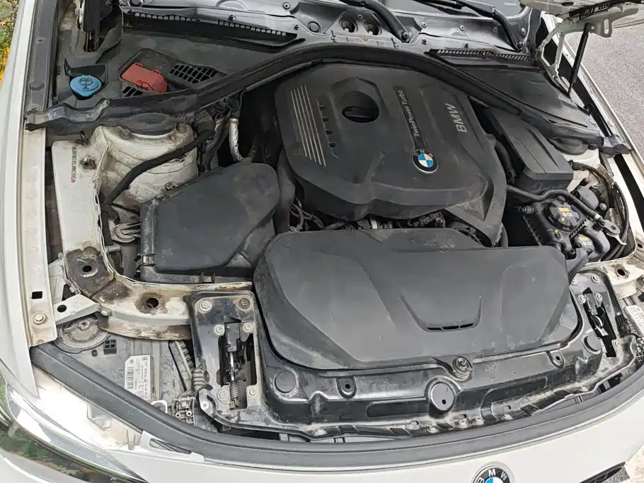 BMW 3 Series 3 2018 320Li M Sport