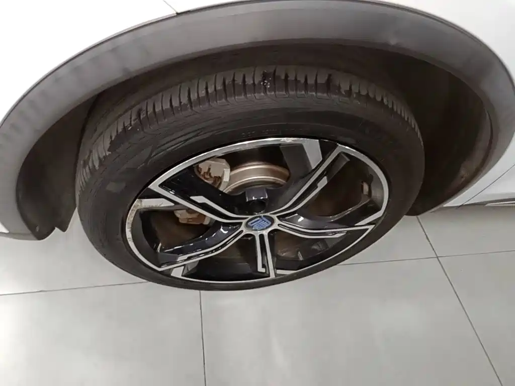 BYD Tang New Energy — миниатюра 23