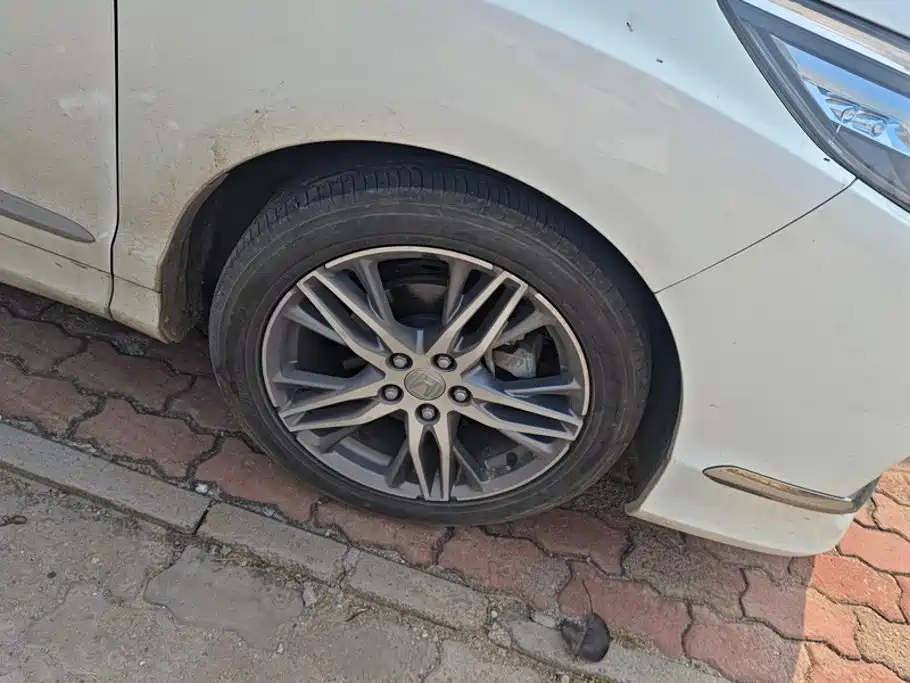 Honda Elysion — миниатюра 6