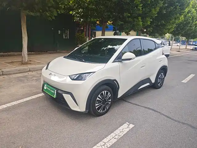 2025 BYD Seagull