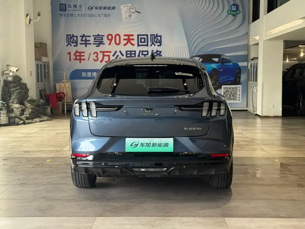 Ford Mustang Mach-E — миниатюра 8