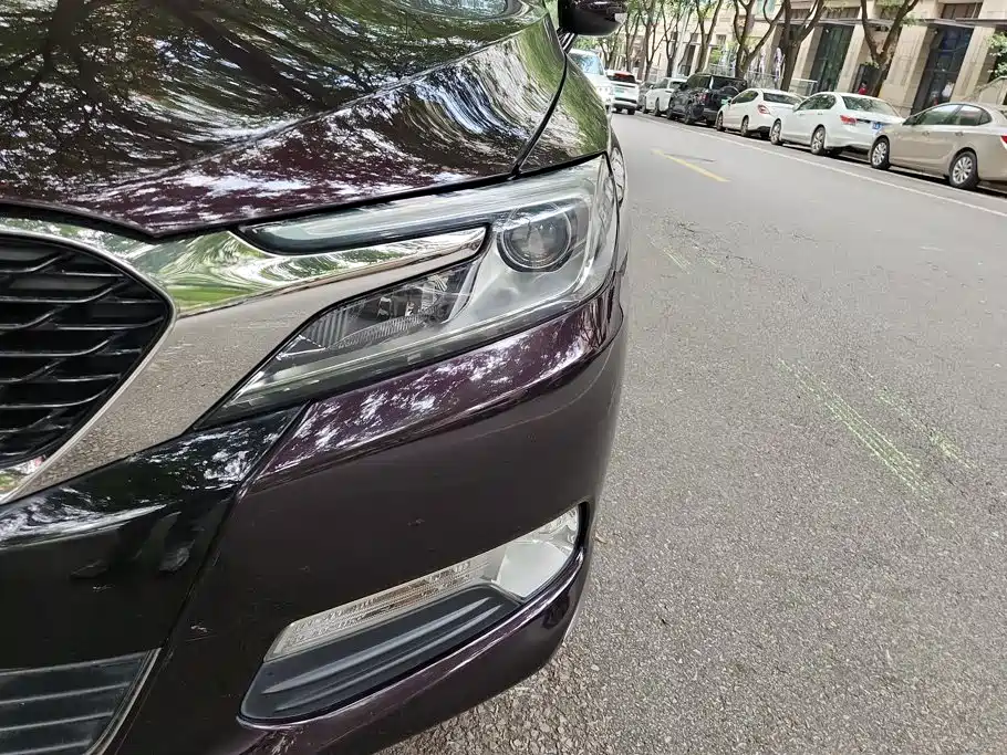 DS DS 5LS — миниатюра 5