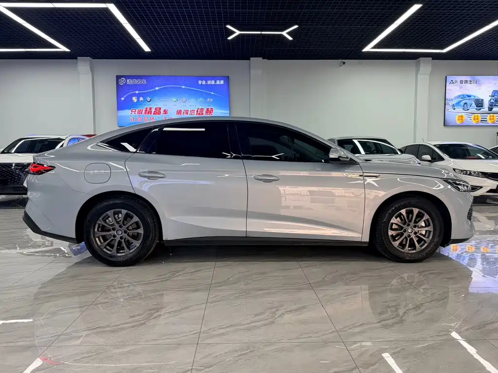 BYD Qin L L 2024 DM-i 80KM Lead