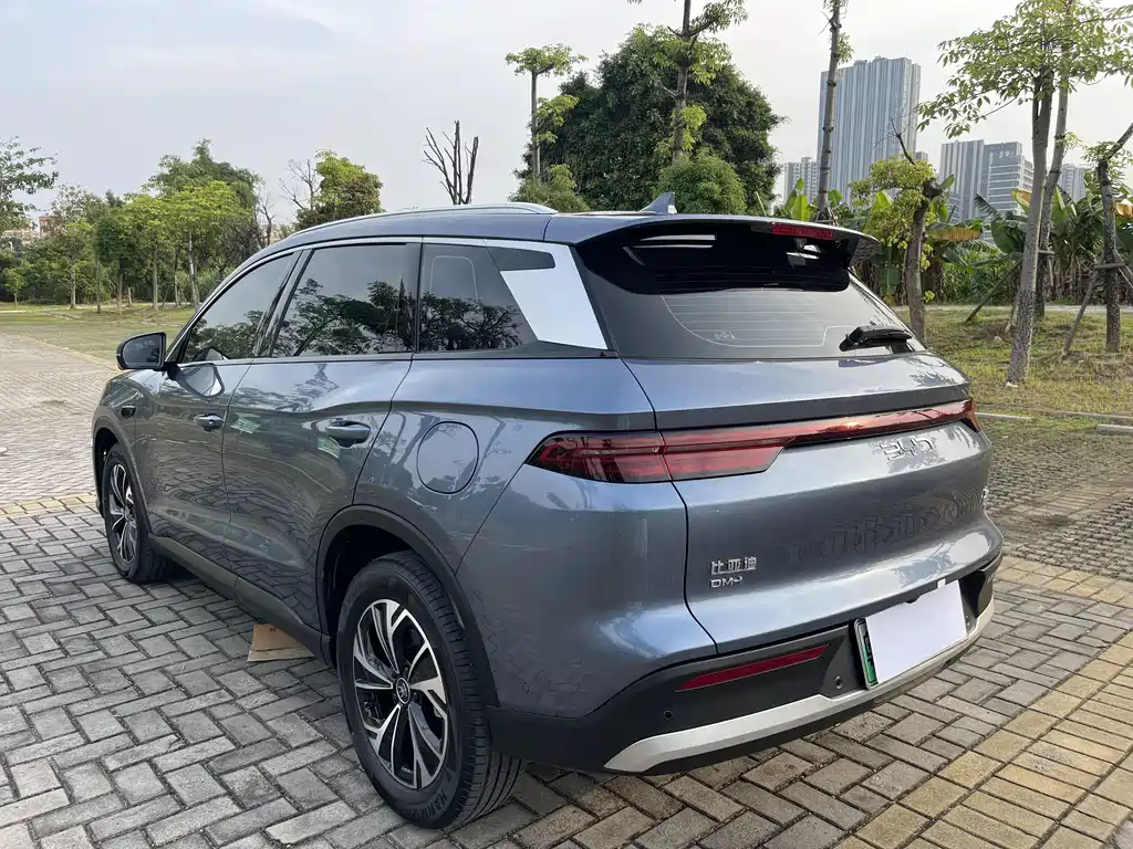 BYD Pro New Energy - фото 6