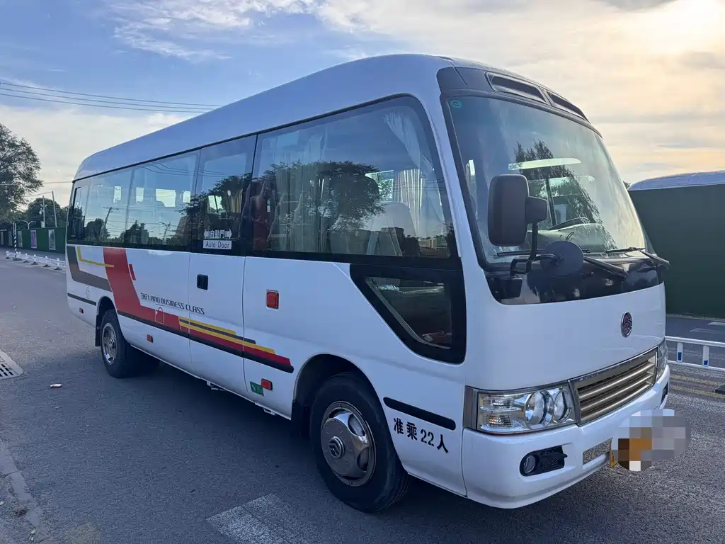 Golden Dragon Золотая бригада Кост. — миниатюра 3