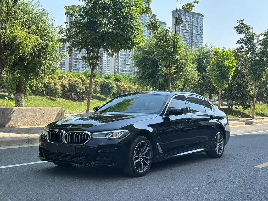 BMW 5 Series New Energy 2020