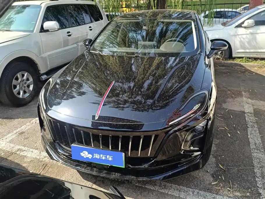Hongqi Hongqi E-QM5 — миниатюра 2