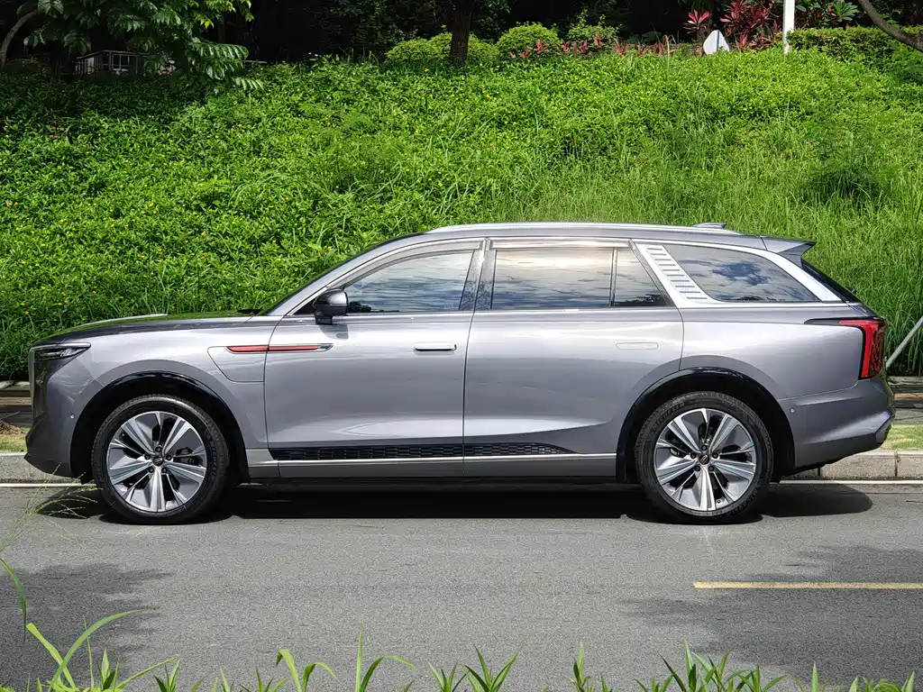 Hongqi E-HS9 2021 460km мест