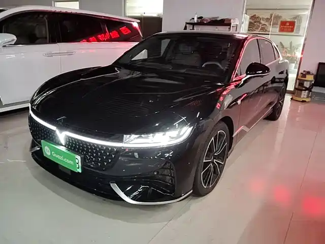 2023 Voyah Passion