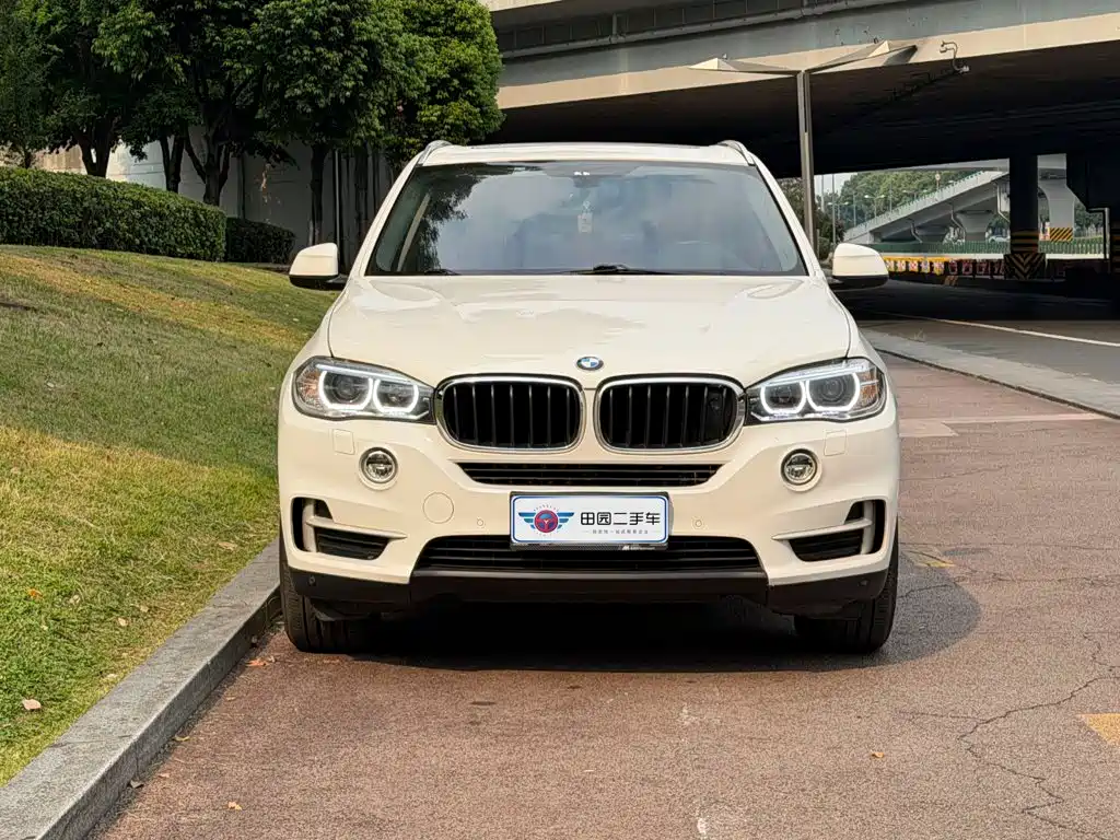 BMW X5 (Import) — миниатюра 2