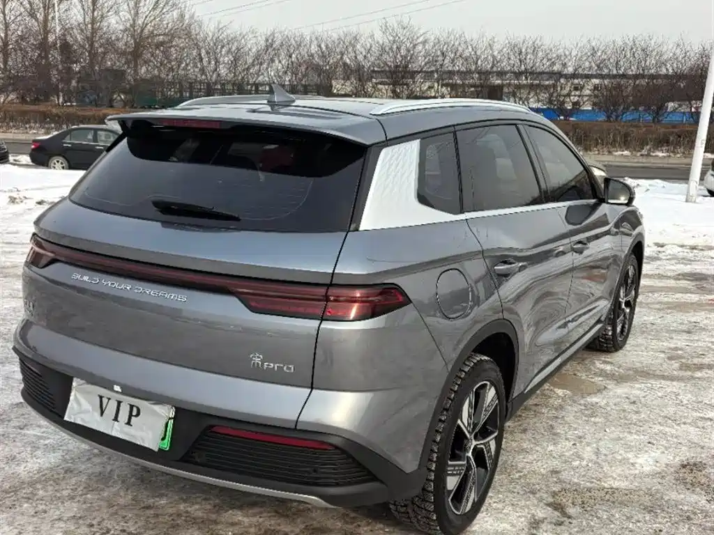 BYD SONGJIANG NEW ENERGY