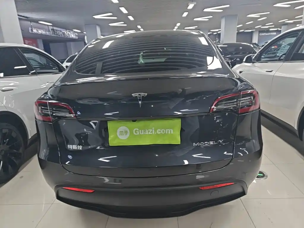 Tesla Model Y — миниатюра 6