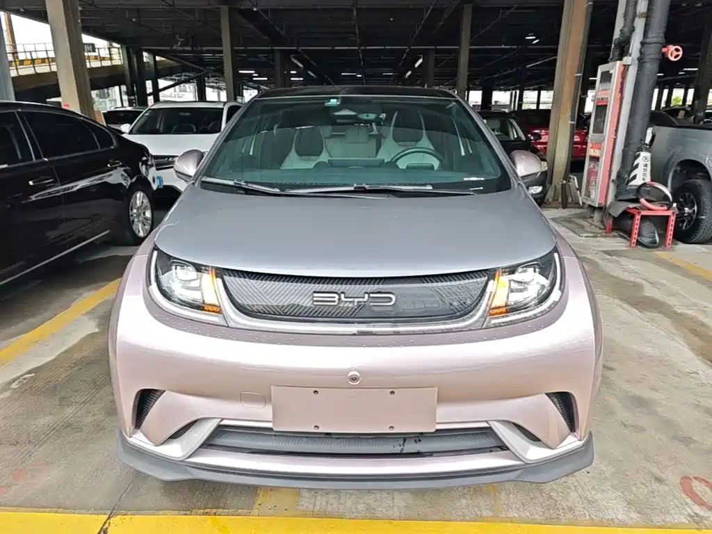 BYD Dolphin — миниатюра 3