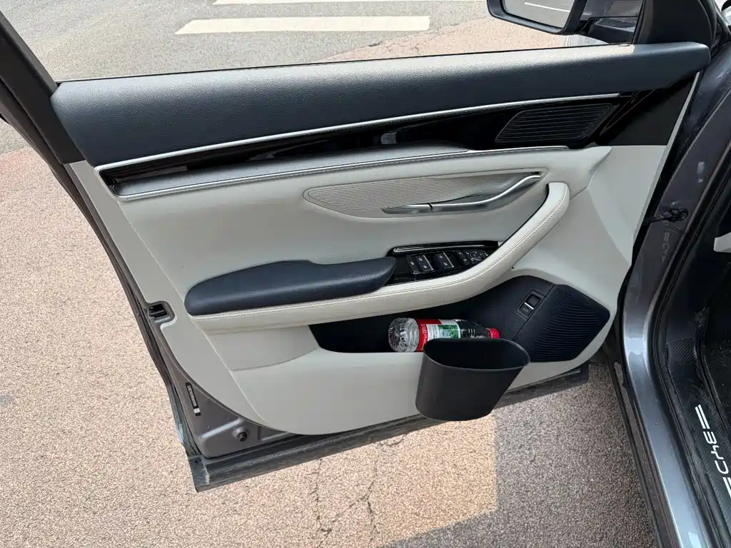 BYD PLUS New Energy — миниатюра 6