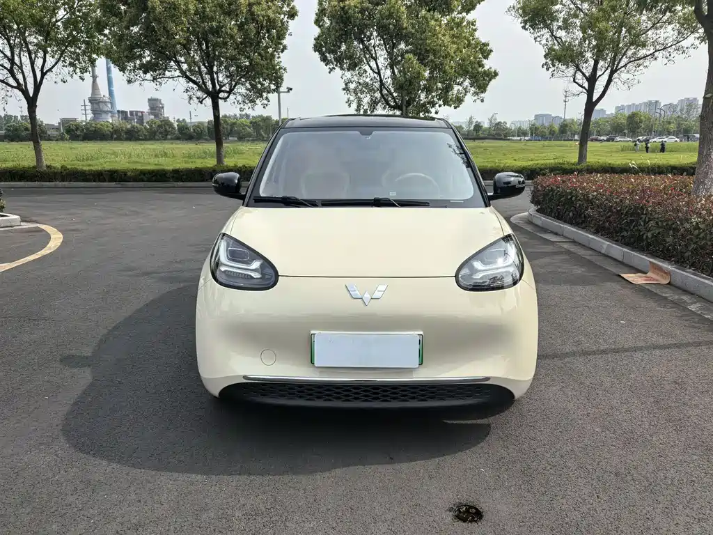 Wuling Binguo 2025 333km Enjoy