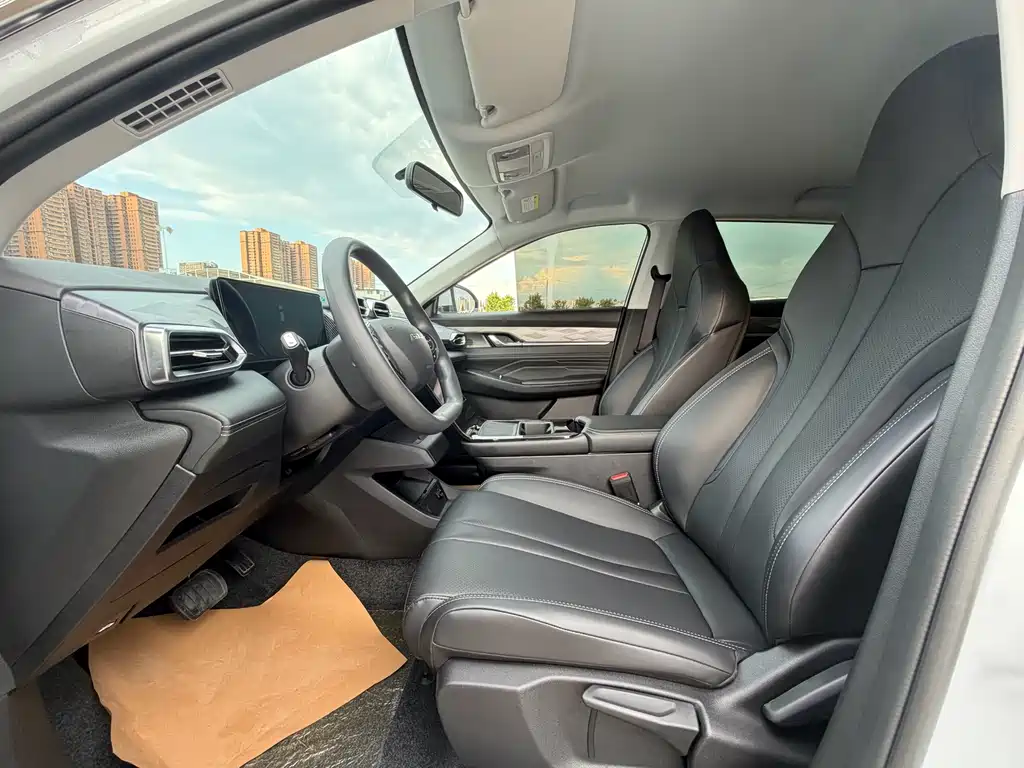 Dongfeng Sky EV01 2024 530km PRO