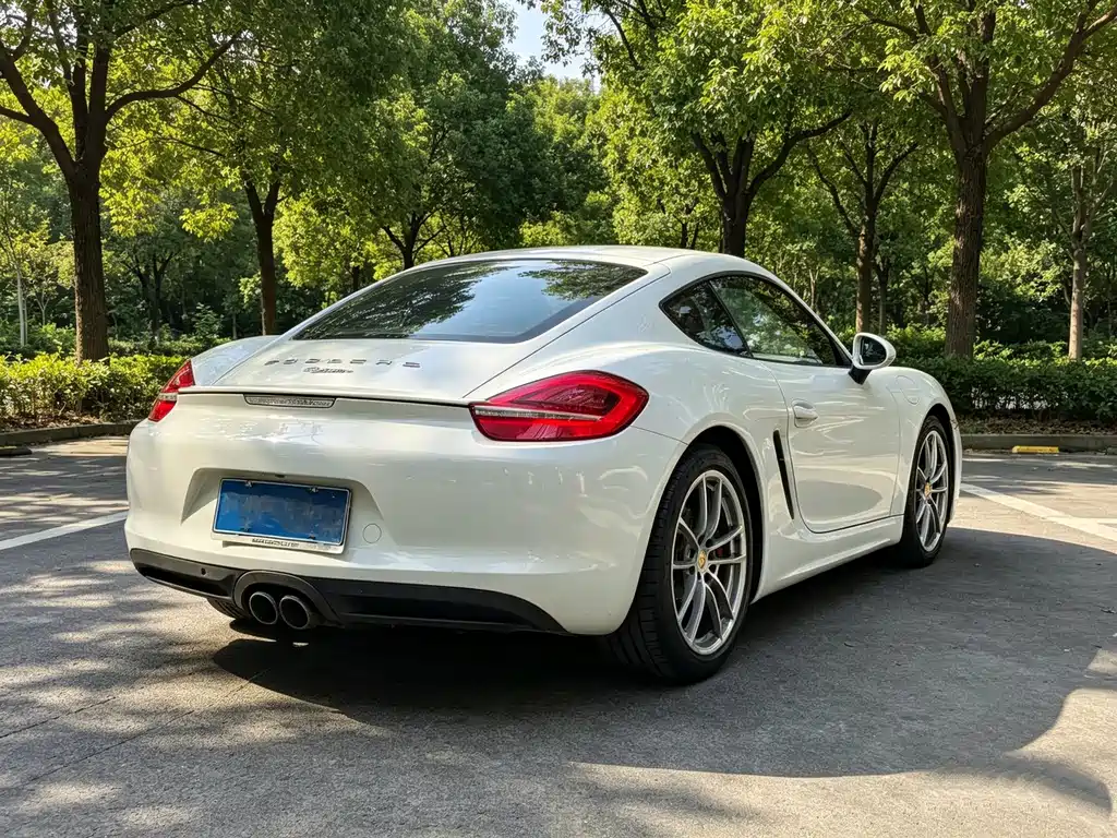 Porsche Cayman — миниатюра 9