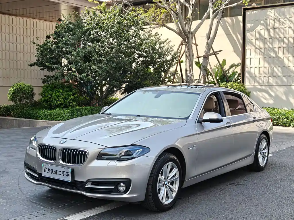 BMW 5 Series 2014