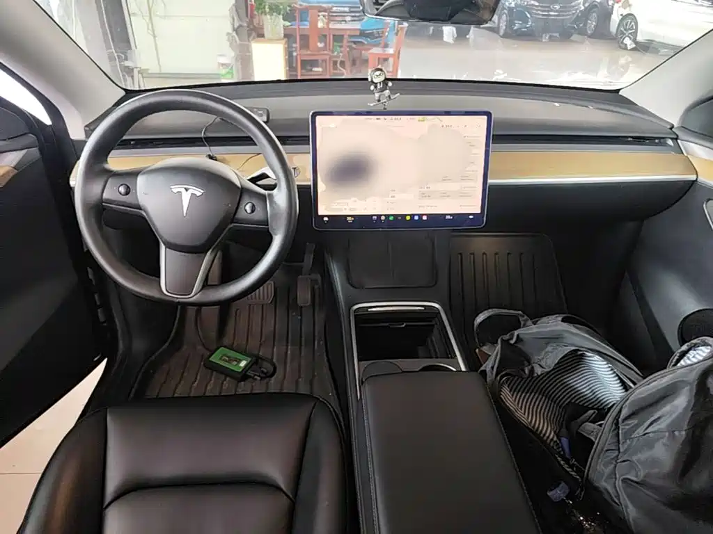 Tesla Model Y — миниатюра 10